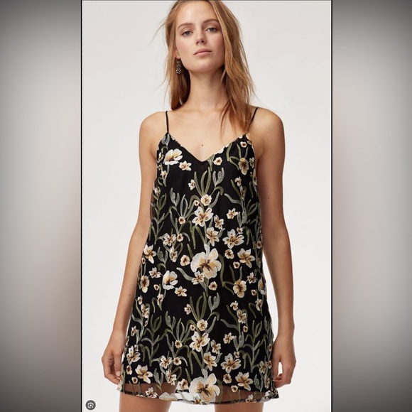 Aritzia embroidered dress - Picture 1 of 9